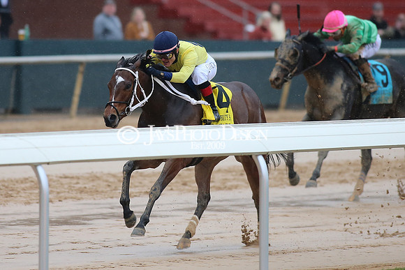 z240203_SouthwestStakesDay_JWM_JWM_1177
