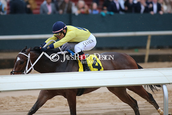 z240203_SouthwestStakesDay_JWM_JWM_1185