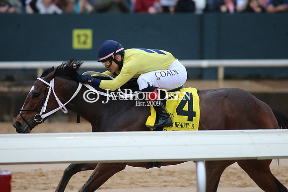 z240203_SouthwestStakesDay_JWM_JWM_1193