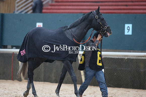 z240203_SouthwestStakesDay_JWM_JWM_1242