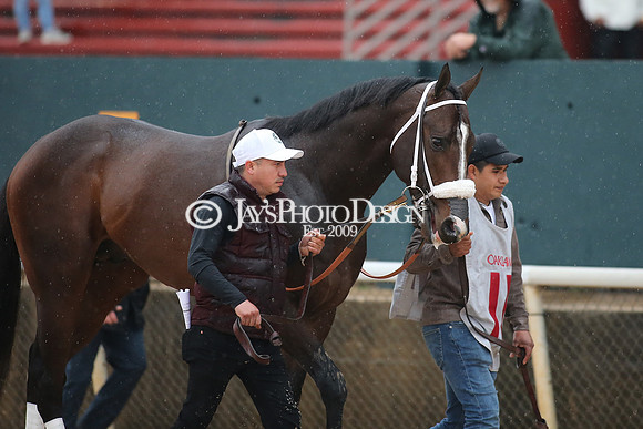 z240203_SouthwestStakesDay_JWM_JWM_1302