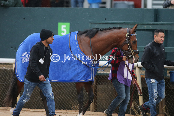 z240203_SouthwestStakesDay_JWM_JWM_1277