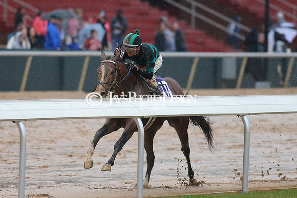 z240203_SouthwestStakesDay_JWM_JWM_1661