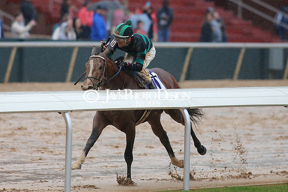 z240203_SouthwestStakesDay_JWM_JWM_1662