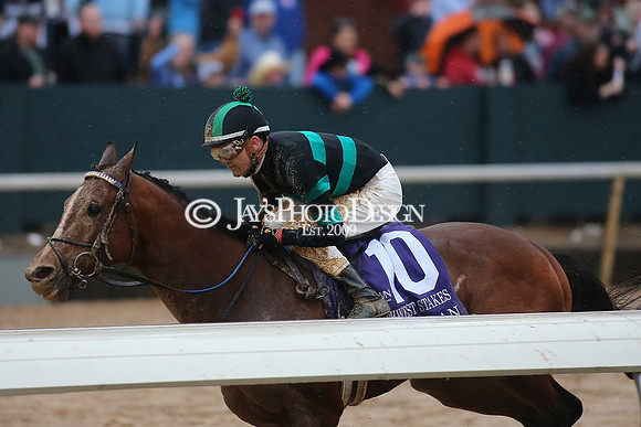 z240203_SouthwestStakesDay_JWM_JWM_1680