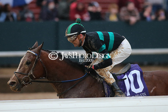 z240203_SouthwestStakesDay_JWM_JWM_1682
