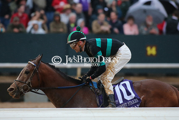 z240203_SouthwestStakesDay_JWM_JWM_1685