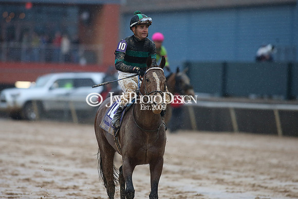 z240203_SouthwestStakesDay_JWM_JWM_1711