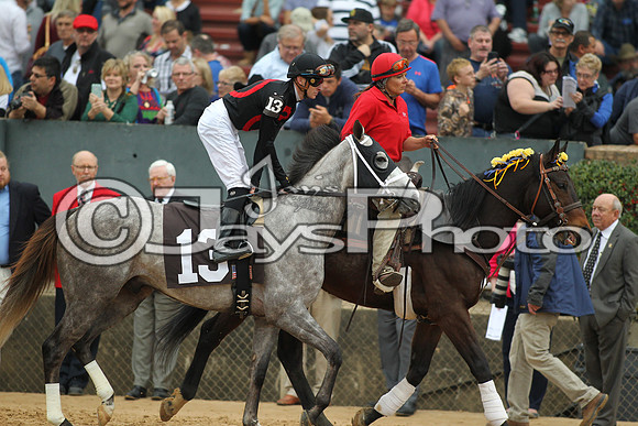 Southwest Stakes (GradeIII) 2-20-17_JWM00869