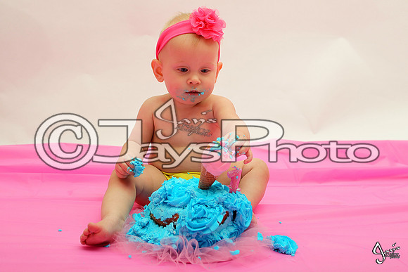 Camden's 1st Birthday pictures_0779