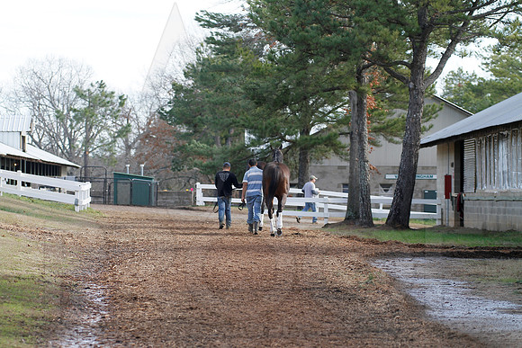 Oaklawn 1-11-13 (Justin Manning)0015