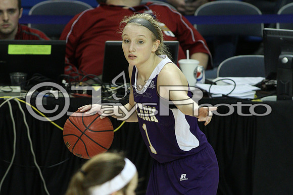 Riverview vs. Ozark 4A Girls State Finals 3-13-2015 (©Justin Manning) JWM_133