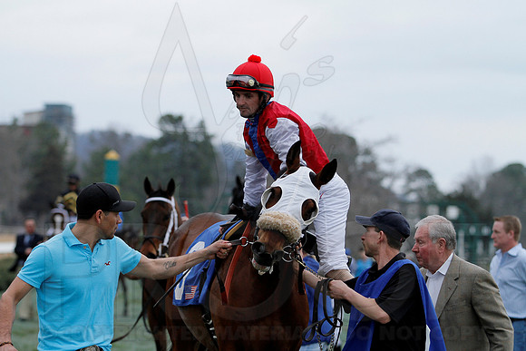 The 54th running of the Razorback Handicap 3-9-13 JWM0114 (©Justin Manning)