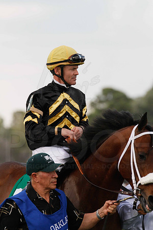 _MG_0304