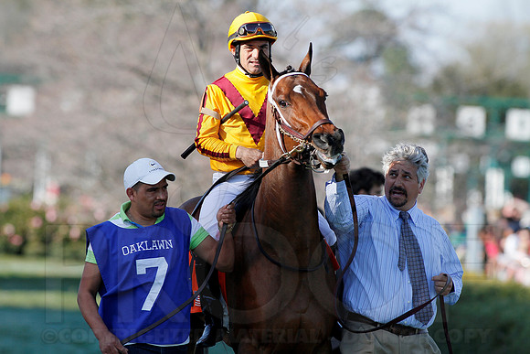 Azeri Stakes 3-16-13 (© Justin Manning) JWM0148