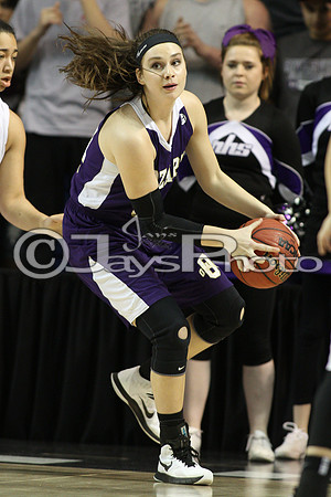 Riverview vs. Ozark 4A Girls State Finals 3-13-2015 (©Justin Manning) JWM_025