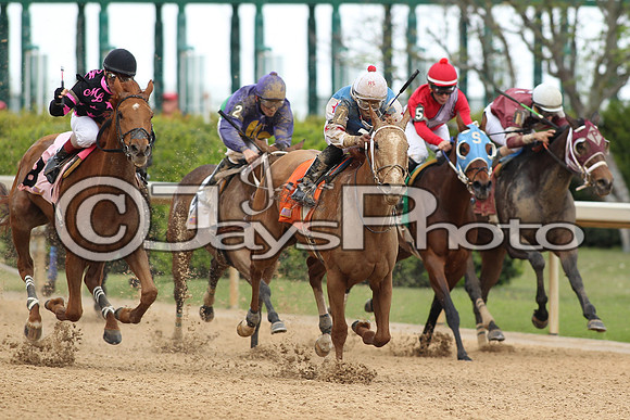 Oaklawn_0247