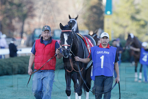 Oaklawn 1-21-13 (Smarty Jones Stakes) (Justin Manning)0097