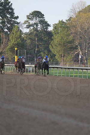 IMG_0218