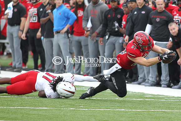 South Alabama @ Arkansas State (Homecoming) 11-3-18_JWM_1059