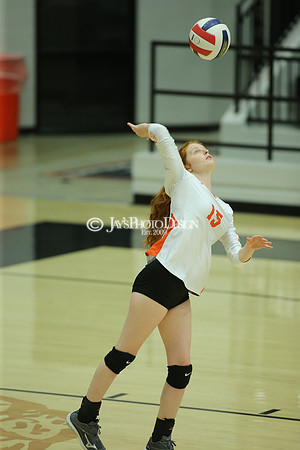 Camden Fairview @ Malvern JV_JWM_0281