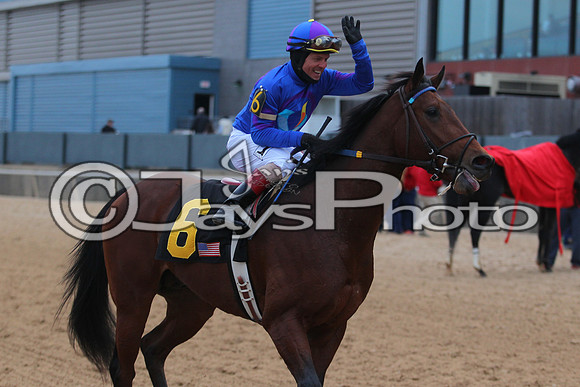 Oaklawn Smarty Jones Stakes 1-18-2016 (©Justin Manning) JWM_(0511