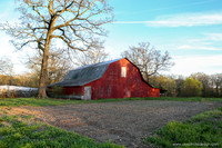 Barns 3-25-20_0090