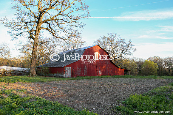 Barns 3-25-20_0090