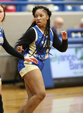Fouke vs. Dewitt (3A Girls Regionals 2-21-24)_0127