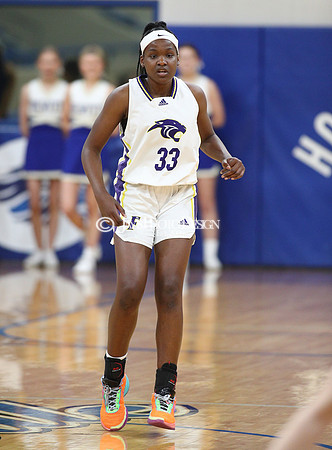 Fouke vs. Dewitt (3A Girls Regionals 2-21-24)_0157