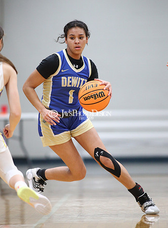Fouke vs. Dewitt (3A Girls Regionals 2-21-24)_0282
