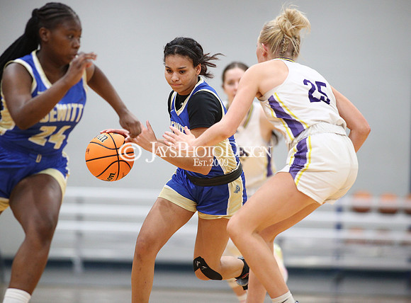 Fouke vs. Dewitt (3A Girls Regionals 2-21-24)_0306