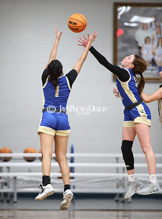 Fouke vs. Dewitt (3A Girls Regionals 2-21-24)_0327