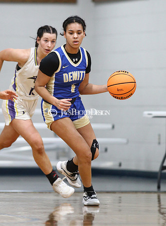Fouke vs. Dewitt (3A Girls Regionals 2-21-24)_0331