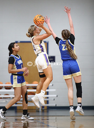 Fouke vs. Dewitt (3A Girls Regionals 2-21-24)_0337