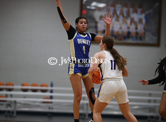 Fouke vs. Dewitt (3A Girls Regionals 2-21-24)_0355