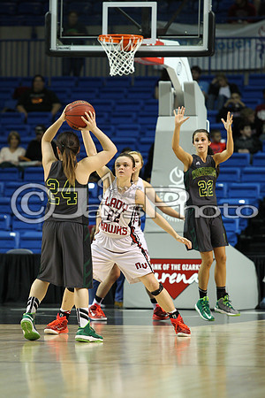 Nemo Vista vs. Wonderview 1A Girls State Finals 3-12-2015 (©Justin Manning) JWM_151