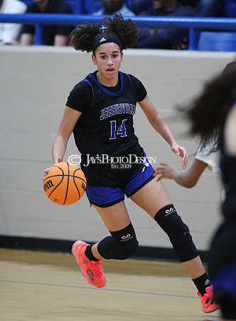 Jessieville vs. McGehee (3A Girls Regionals 2-22-24)_0304