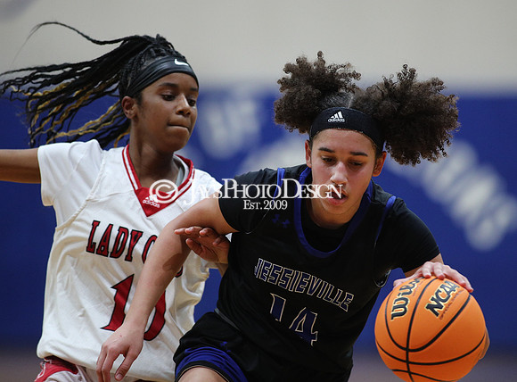 Jessieville vs. McGehee (3A Girls Regionals 2-22-24)_0460