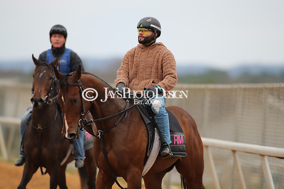 z250104_SmartyJonesStakesDay _JWM_0079