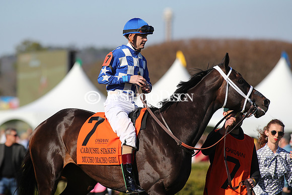 z240224_CarouselStakes_JWM_0289