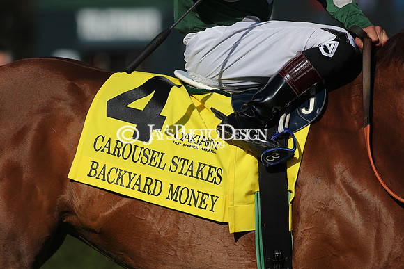 z240224_CarouselStakes_JWM_0282