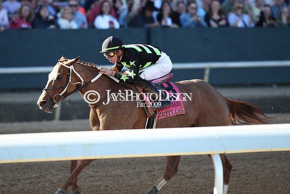 z240224_CarouselStakes_JWM_0369