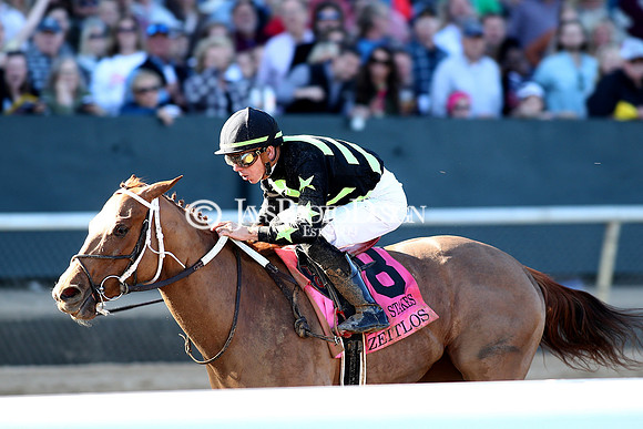 z240224_CarouselStakes_JWM_0368