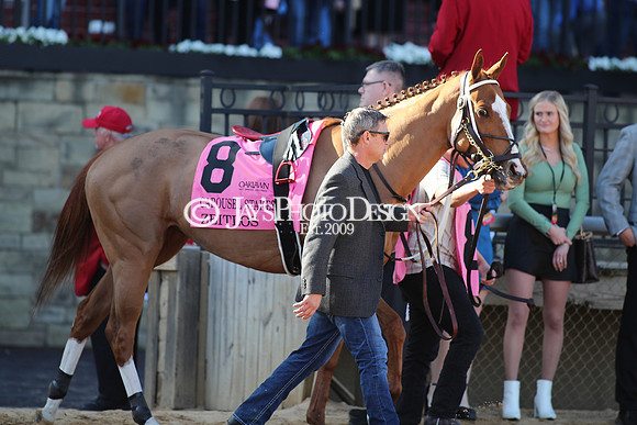 z240224_CarouselStakes_JWM_0197