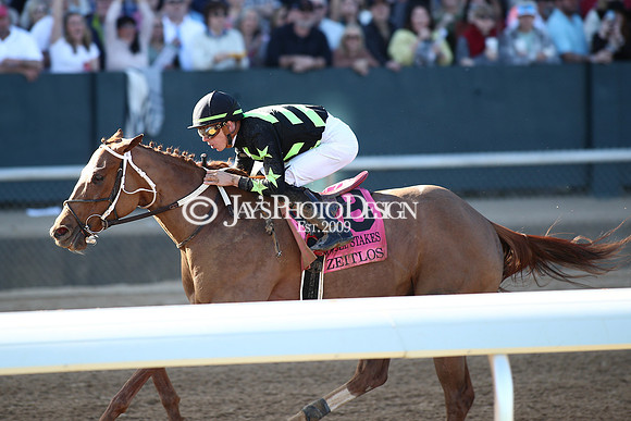 z240224_CarouselStakes_JWM_0374