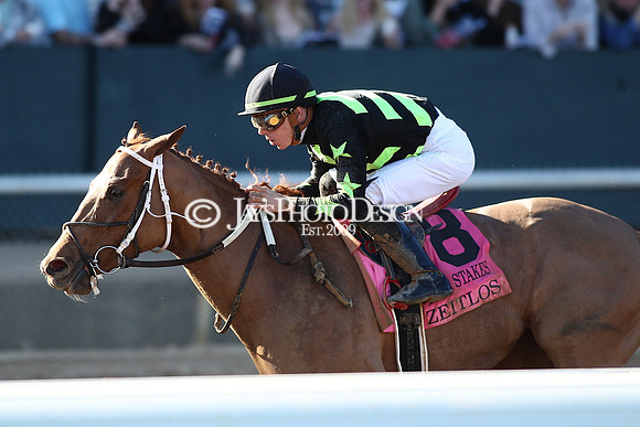 z240224_CarouselStakes_JWM_0372