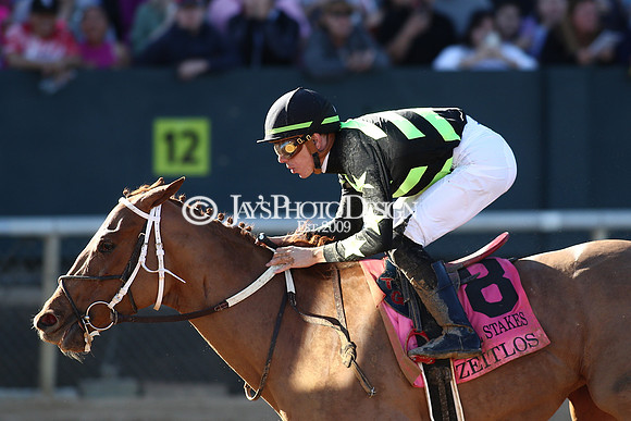 z240224_CarouselStakes_JWM_0377