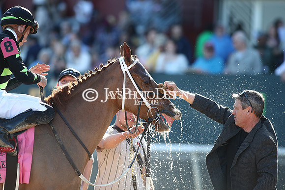 z240224_CarouselStakes_JWM_0406