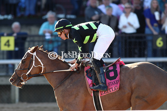 z240224_CarouselStakes_JWM_0384